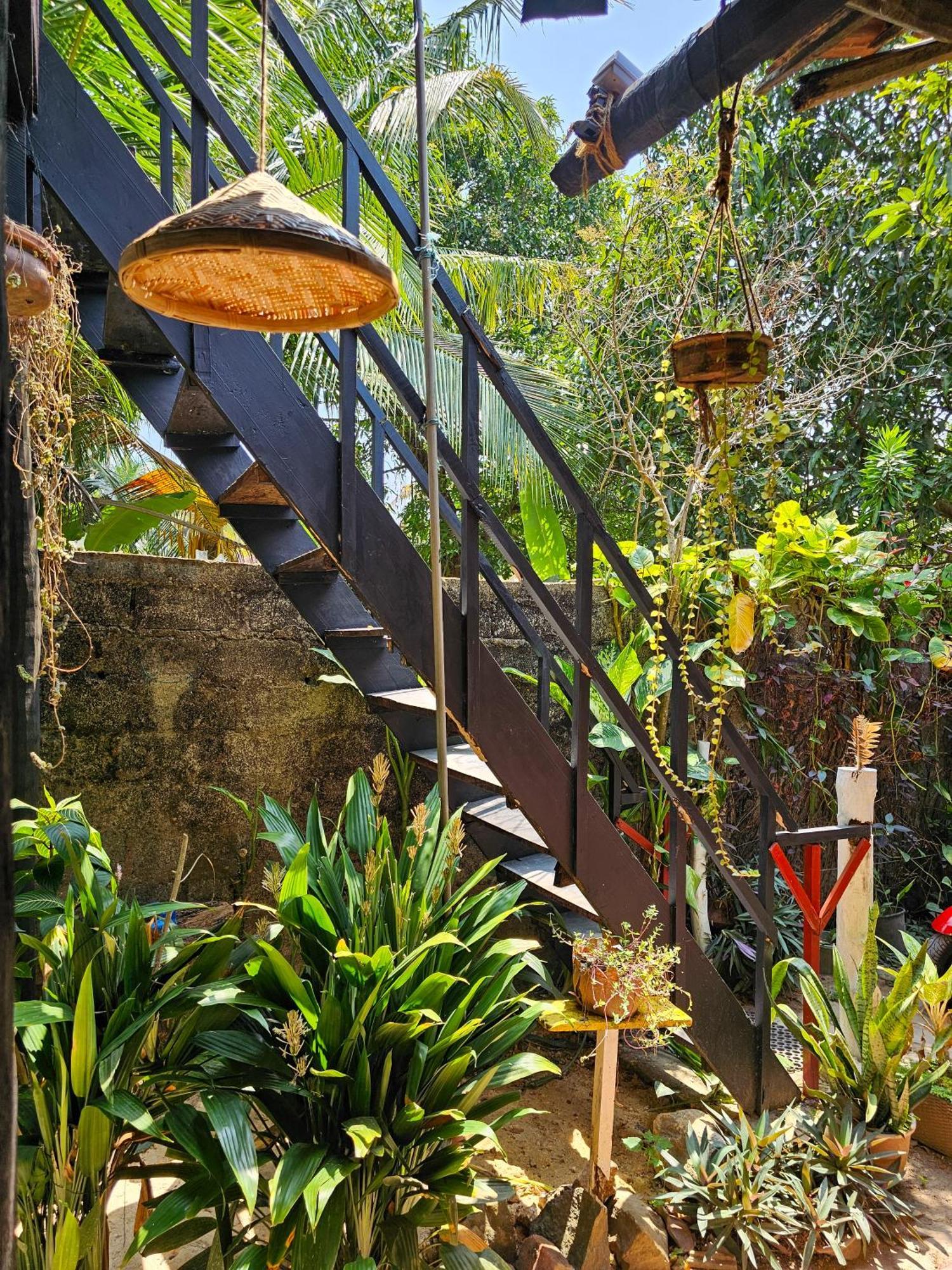 Bird House Mirissa Hotel Exterior photo